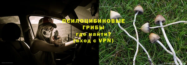 индика Абдулино