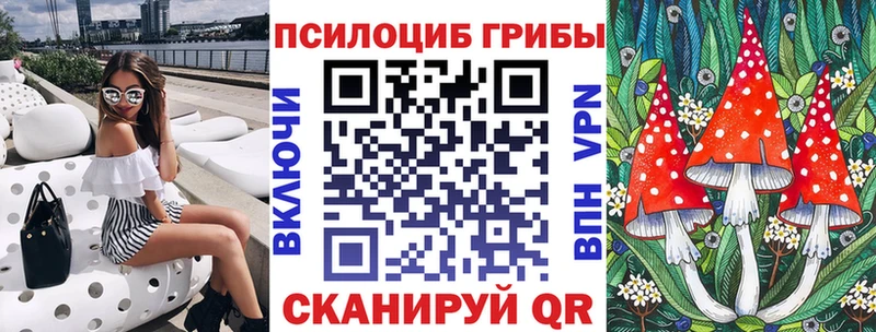 хочу наркоту  Абинск  Псилоцибиновые грибы прущие грибы 