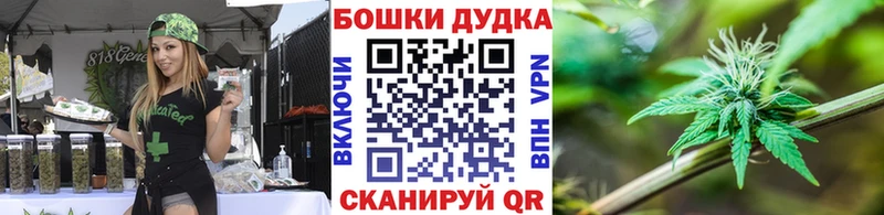Шишки марихуана планчик купить наркоту Абинск